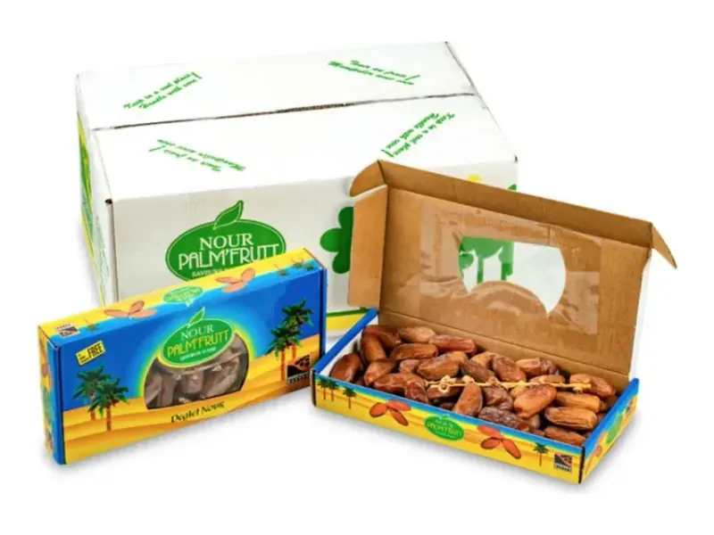 Palm Frutt Nour Deglet Nour branch dates from Tunisia