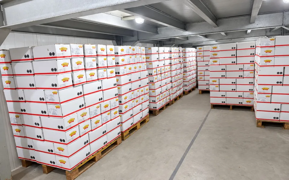 SMJL Jakarta warehouse aisle with pallets of date cartons ready for distribution